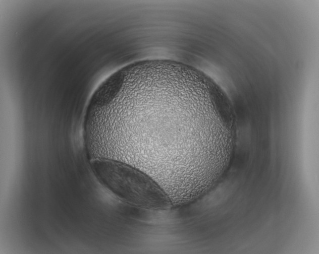 X0000111650928200907241128