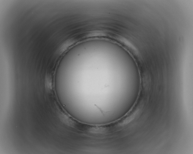 X0000111650929200907241128