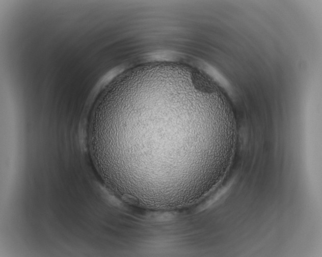 X0000111650930200907241128