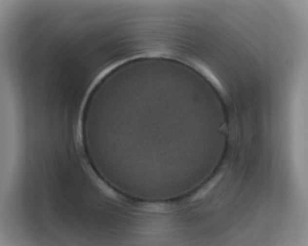 X0000111650932200907241128