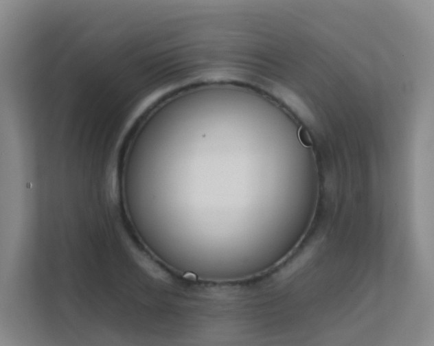 X0000111650934200907241128