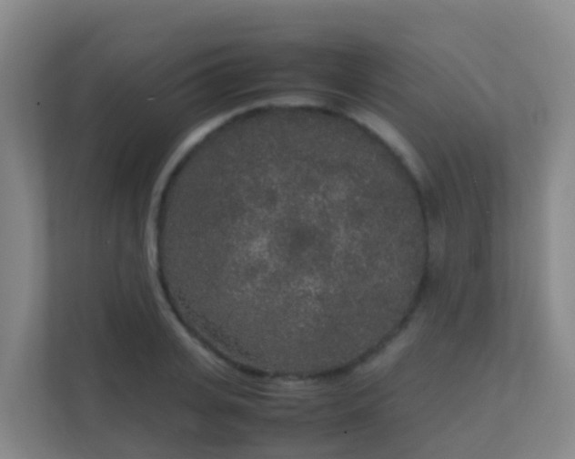 X0000111650935200907241128