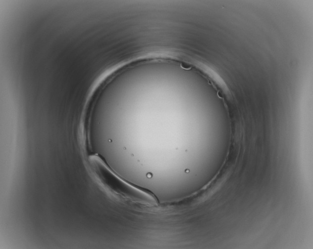 X0000111650936200907241128