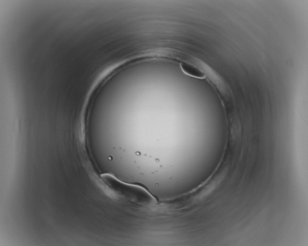 X0000111650940200907241129