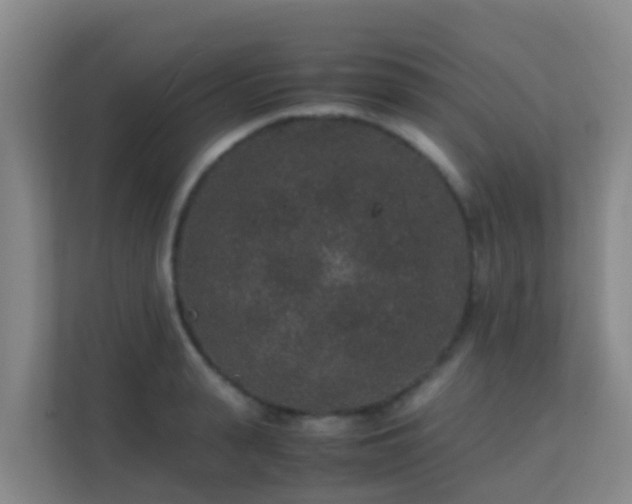 X0000111650943200907241129