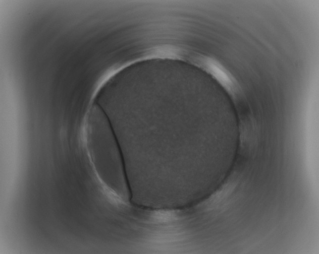 X0000111650944200907241129