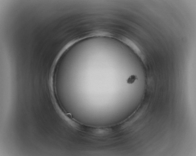 X0000111650947200907241129