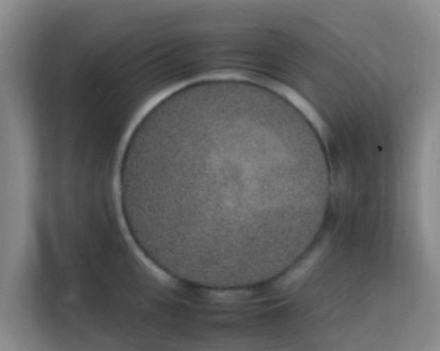 X0000111650951200907241129