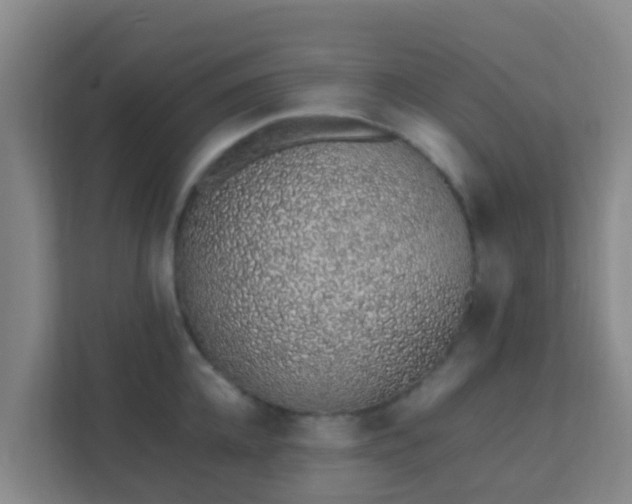 X0000111650952200907241129