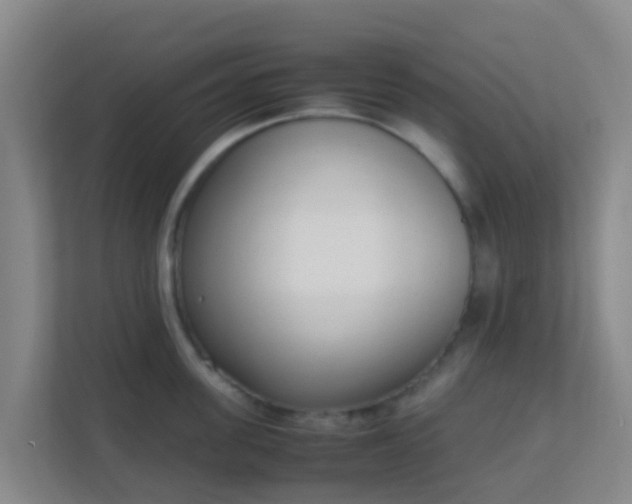 X0000111650955200907241129