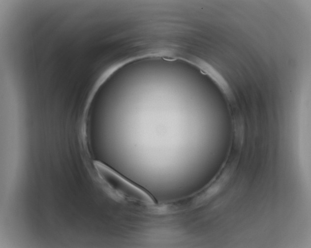 X0000111650956200907241129