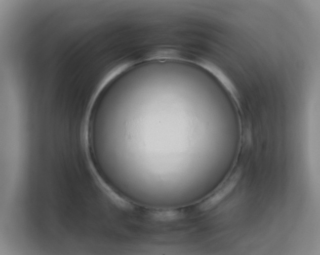 X0000111650957200907241129