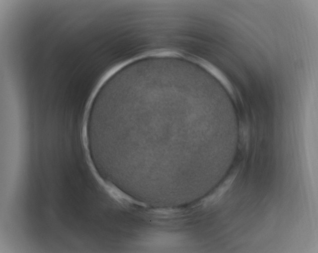 X0000111650959200907241129
