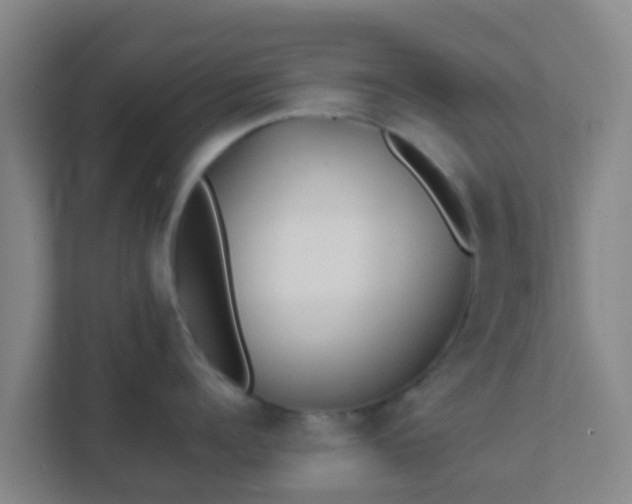 X0000111650960200907241129