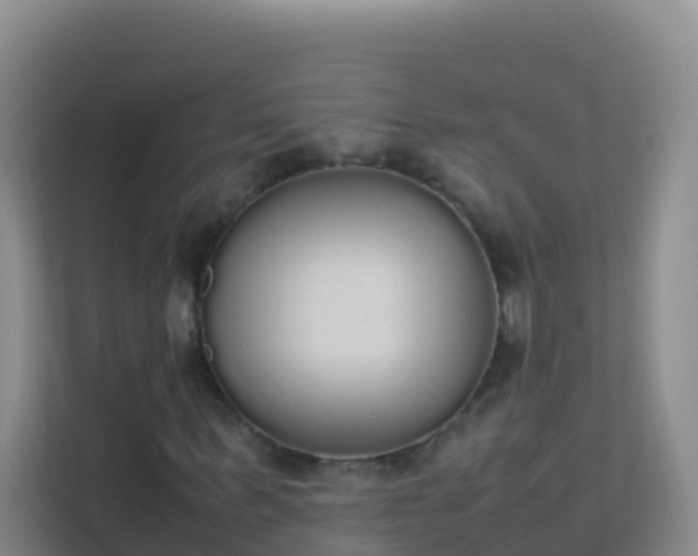 X0000111650963200907241128