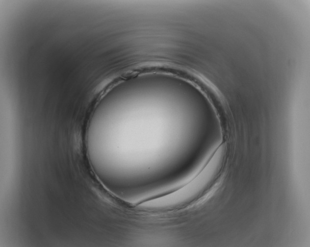 X0000111650969200907241128
