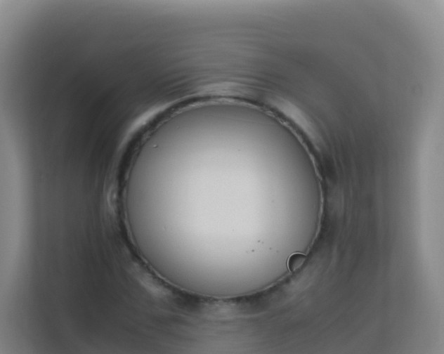 X0000111650971200907241128