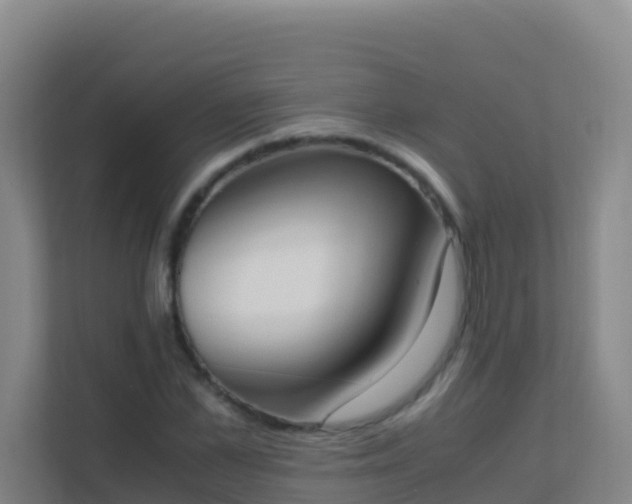 X0000111650973200907241128