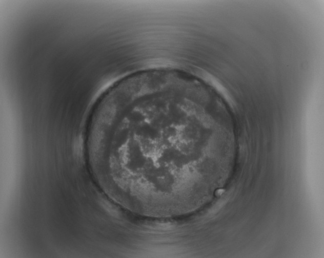 X0000111650975200907241128