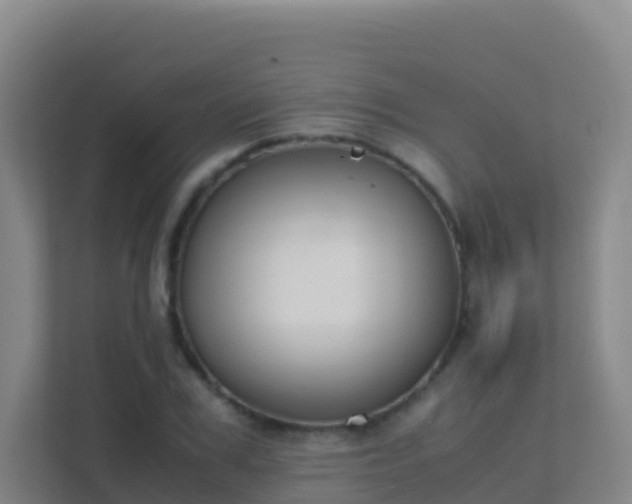 X0000111650979200907241128