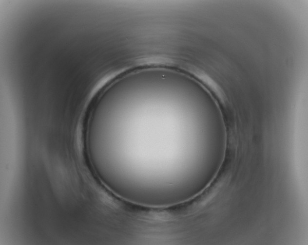 X0000111650983200907241128