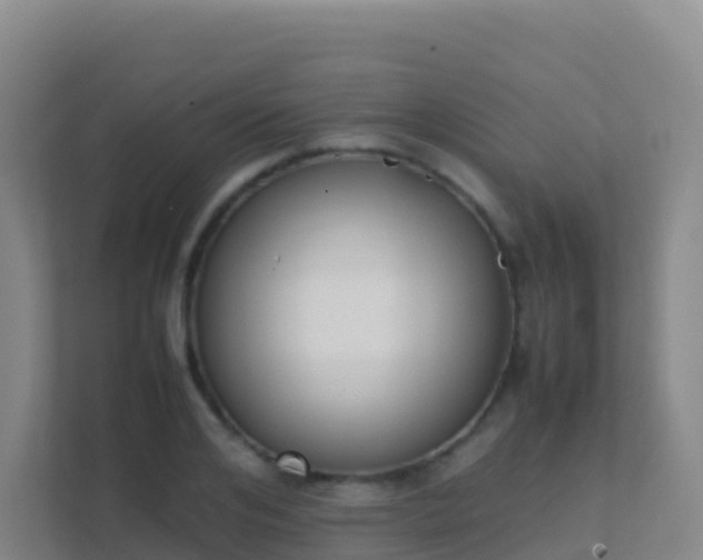X0000111650984200907241128