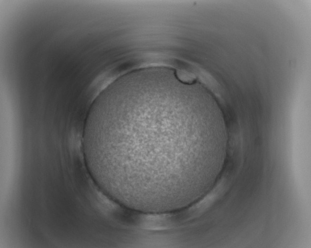 X0000111650985200907241128