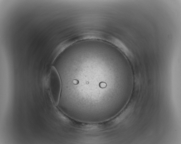 X0000111650993200907241128