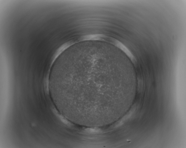 X0000111650994200907241128