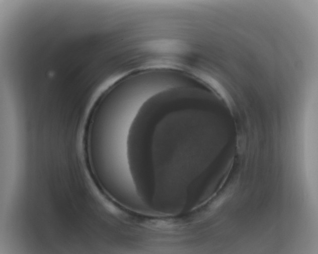 X0000111650995200907241128