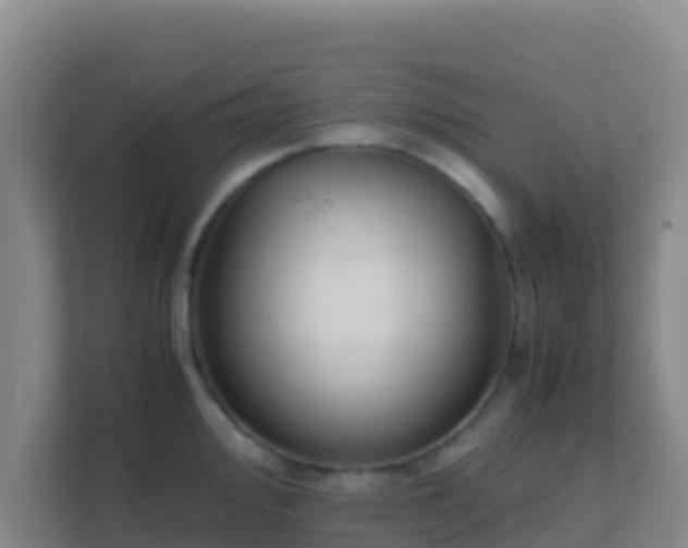 X0000111651000200907241128