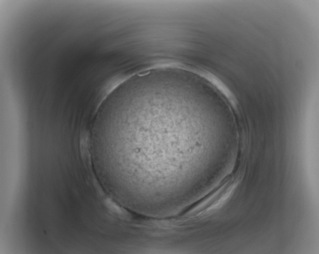 X0000111651001200907241128