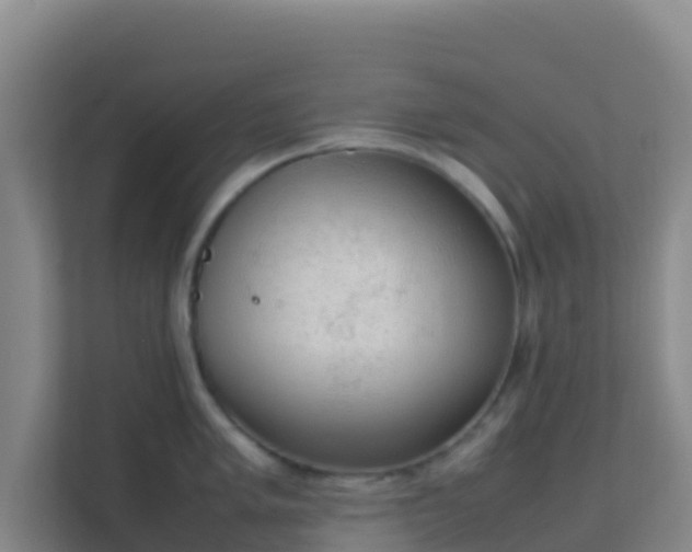 X0000111651005200907241128