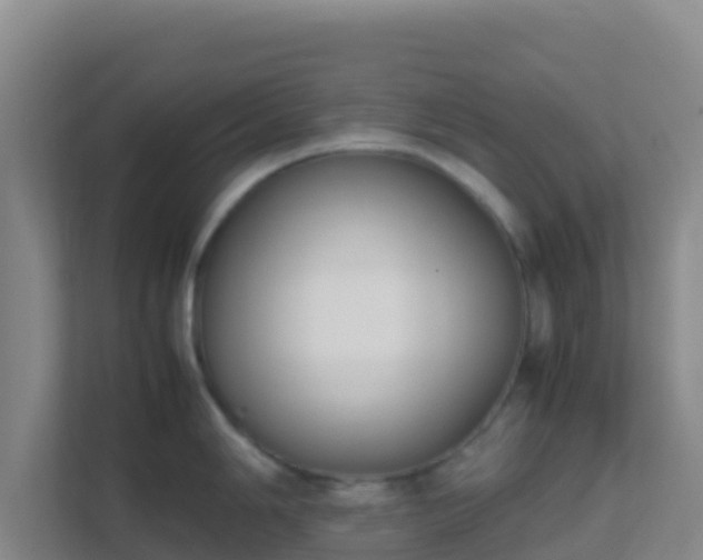 X0000111651006200907241128