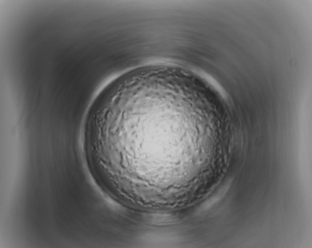 X0000111651007200907241128