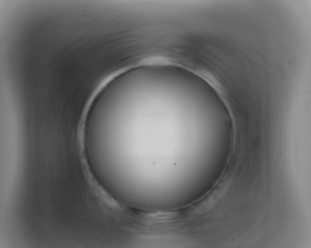 X0000111651008200907241128