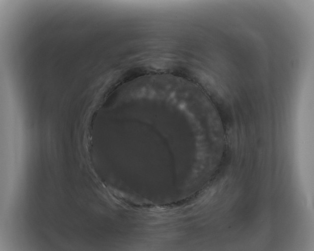 X0000111651009200907241127