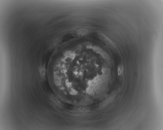 X0000111651011200907241127