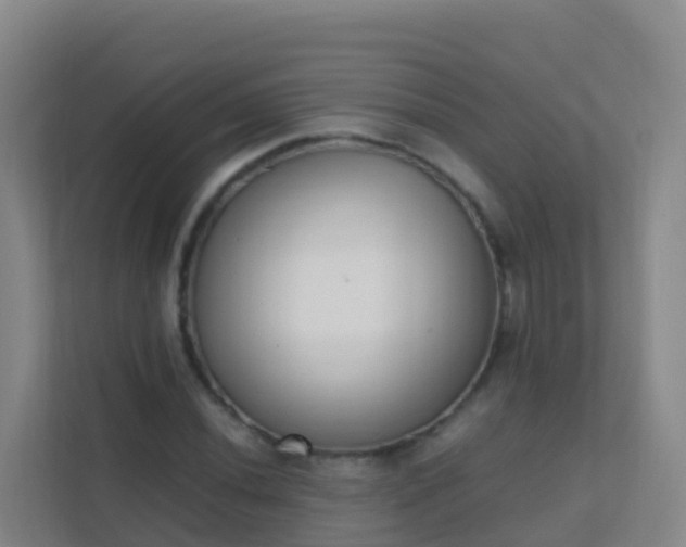 X0000111651020200907241127