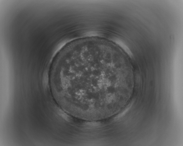 X0000111651023200907241127
