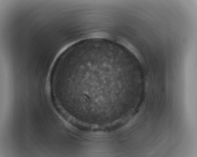 X0000111651024200907241127