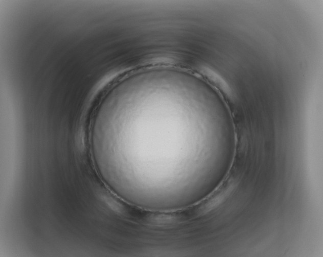 X0000111651027200907241127