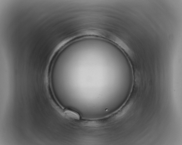 X0000111651028200907241127