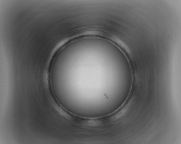 X0000111651029200907241127