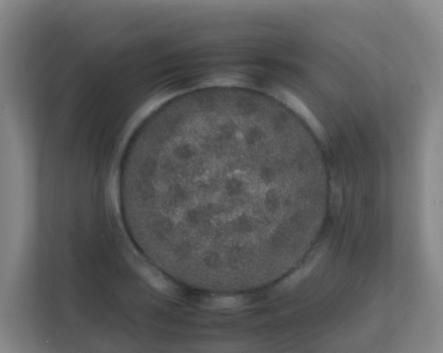 X0000111651035200907241127