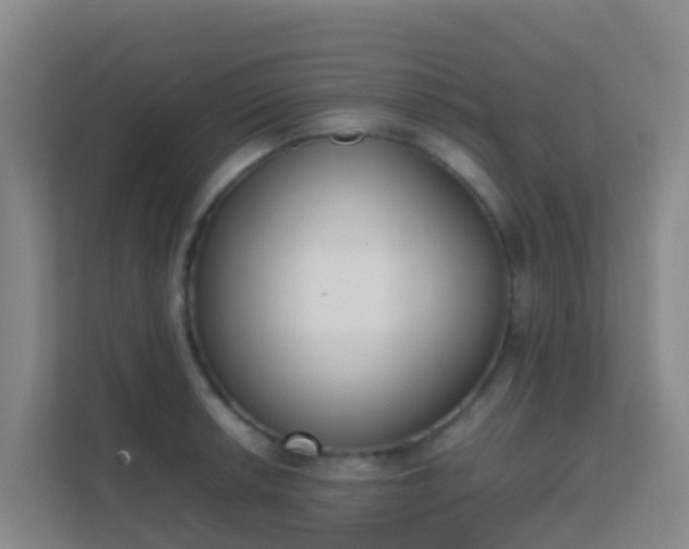 X0000111651042200907241127