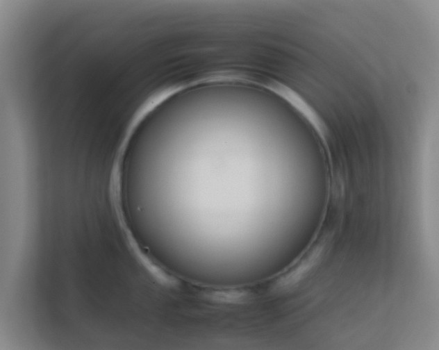 X0000111651053200907241128