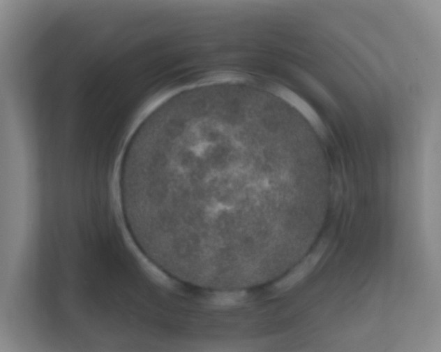X0000111651055200907241128