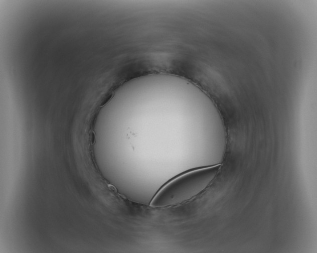 X0000111651057200907241127