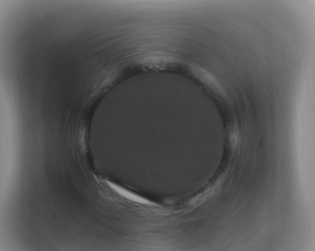 X0000111651060200907241127